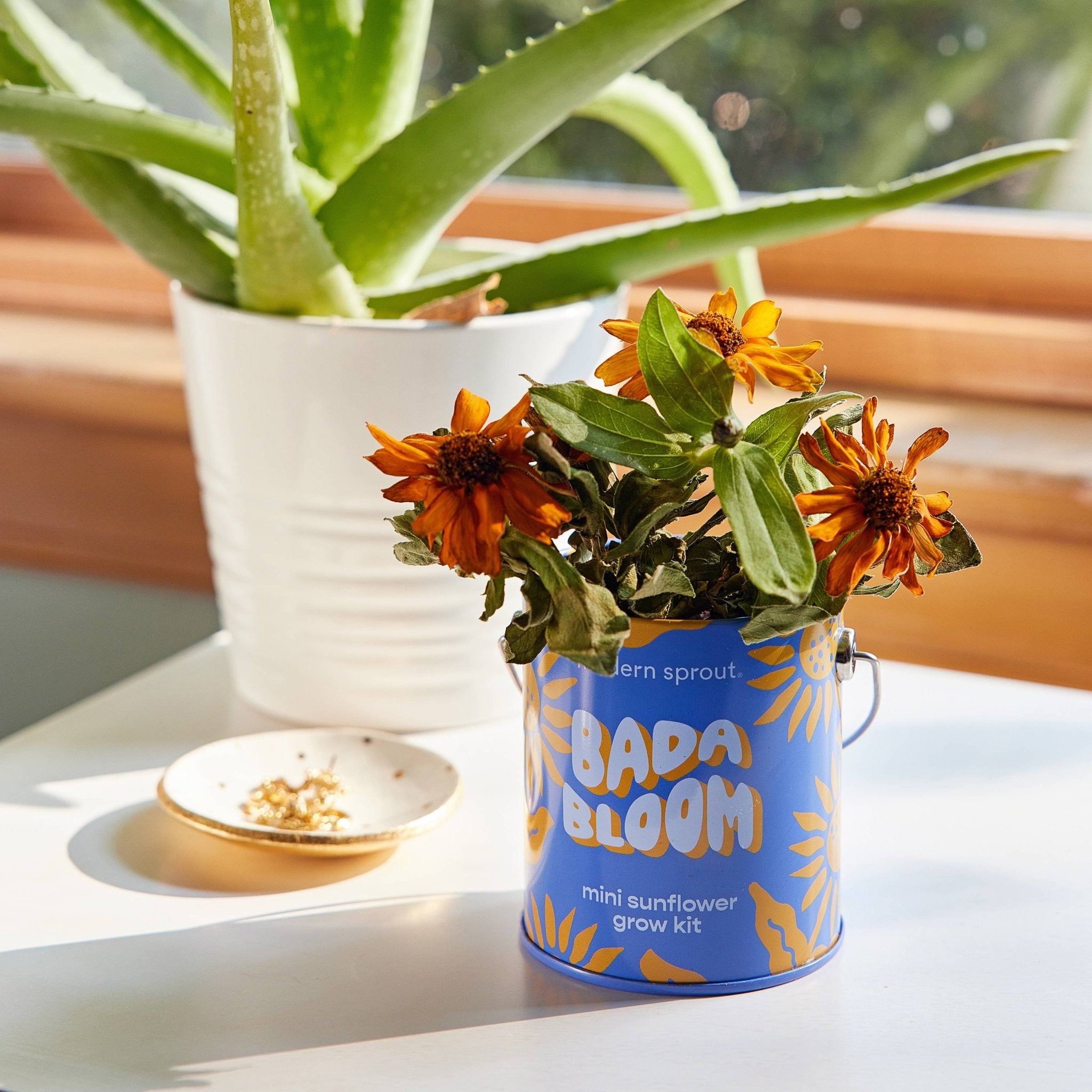 Bada Bloom - Mini Sunflower Grow Kit - Joy