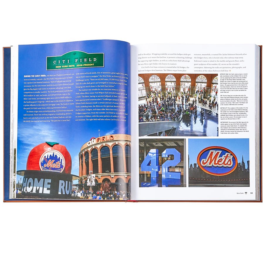 Ballparks Past and Present - Leather Bound Edition - Joy