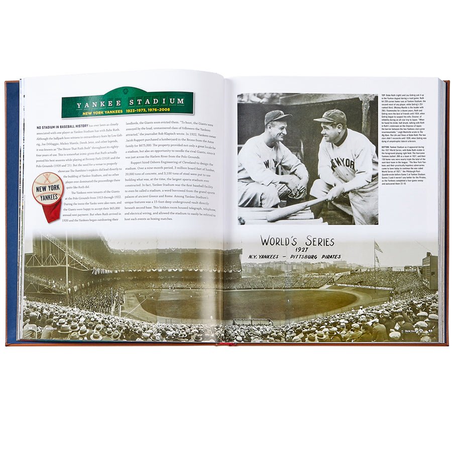 Ballparks Past and Present - Leather Bound Edition - Joy