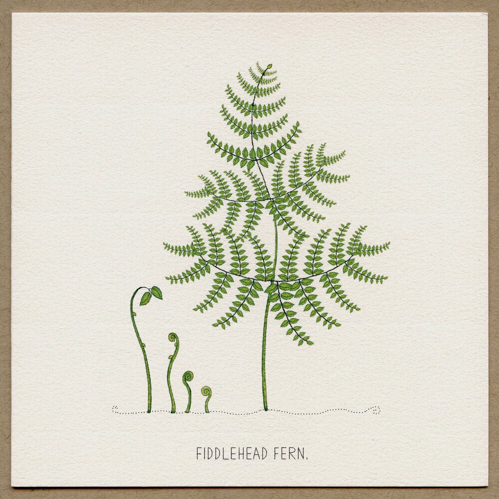 Beth Mueller Greeting Cards - Joy