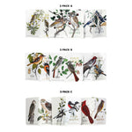 Birds & Trees of North America 3-Pack Notebooks - Joy Gift Shoppe