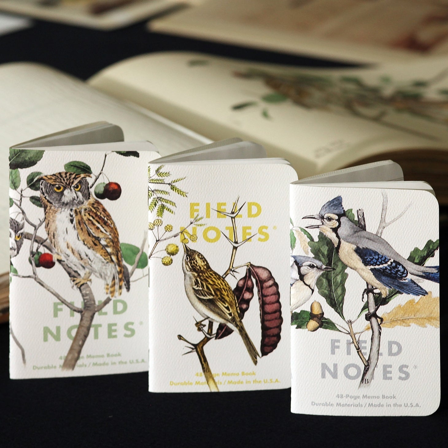 Birds & Trees of North America 3-Pack Notebooks - Joy Gift Shoppe