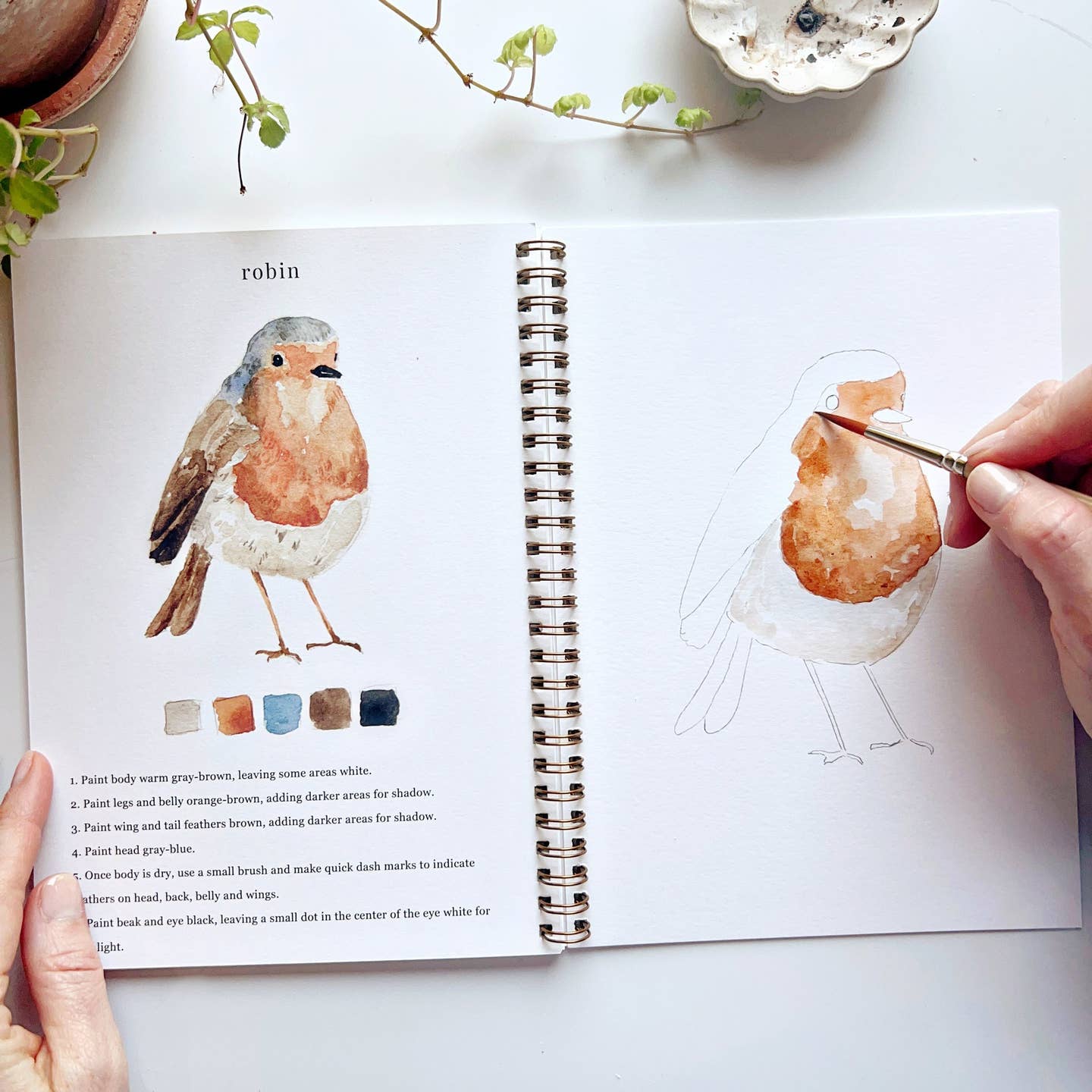 Birds Watercolor Workbook - Joy