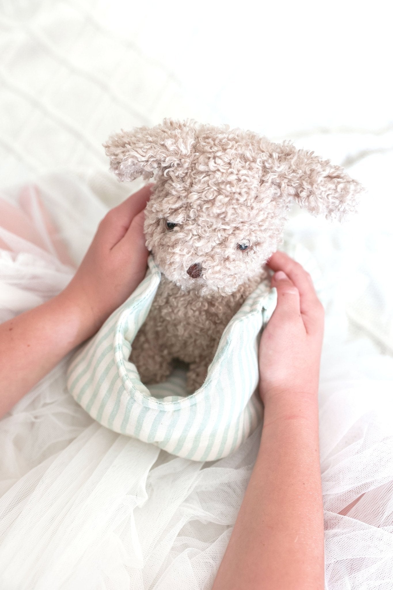Biscuit the Puppy & Carrier - Joy Gift Shoppe