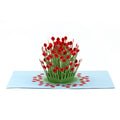 Blooming Poppies Popup Greeting Card - Joy