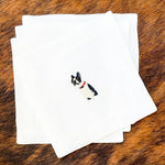 Boston Terrier - Joy