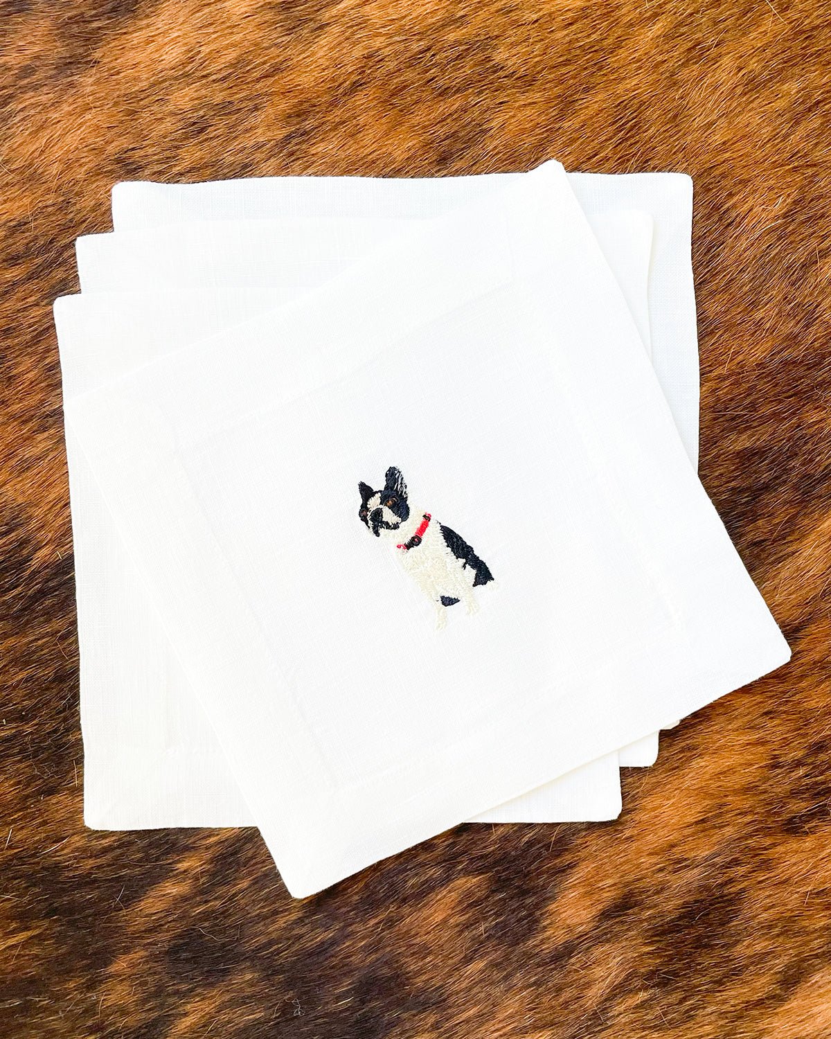 Boston Terrier - Joy