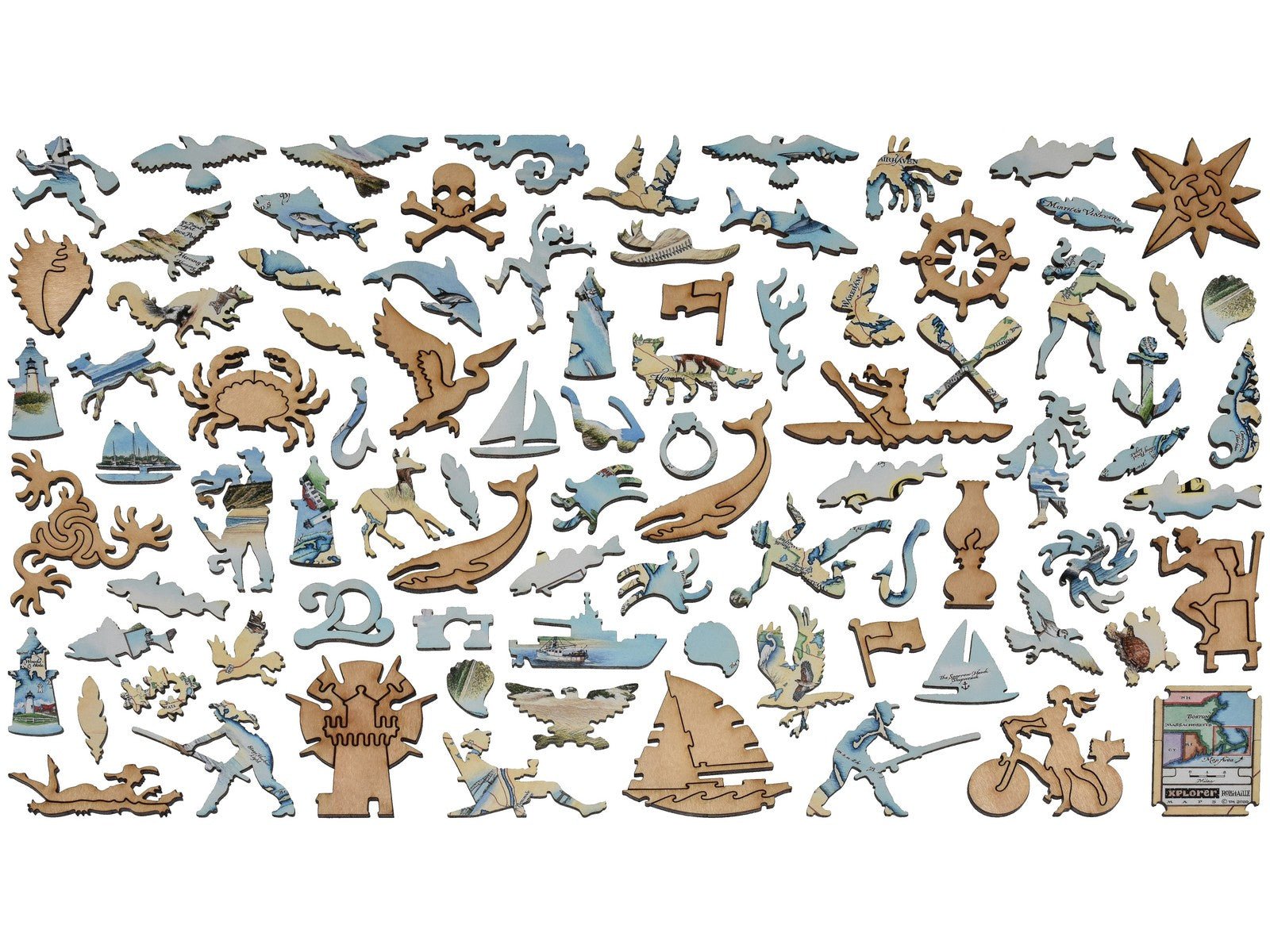 Cape Cod Xplorer Map Puzzle - Joy