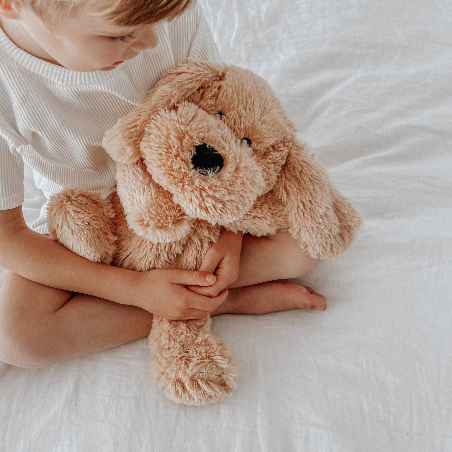 Charlie The Weighted Puppy Dog - Joy