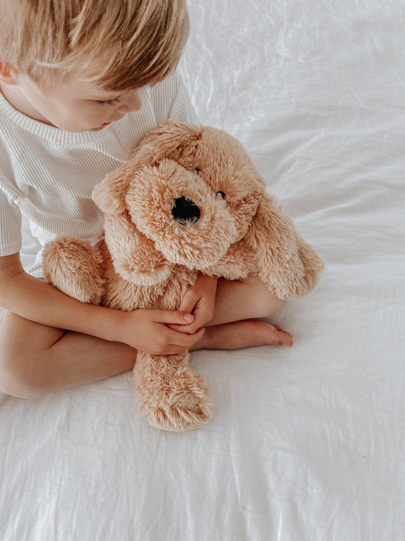 Charlie The Weighted Puppy Dog - Joy