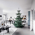 Christmas Season - Joy