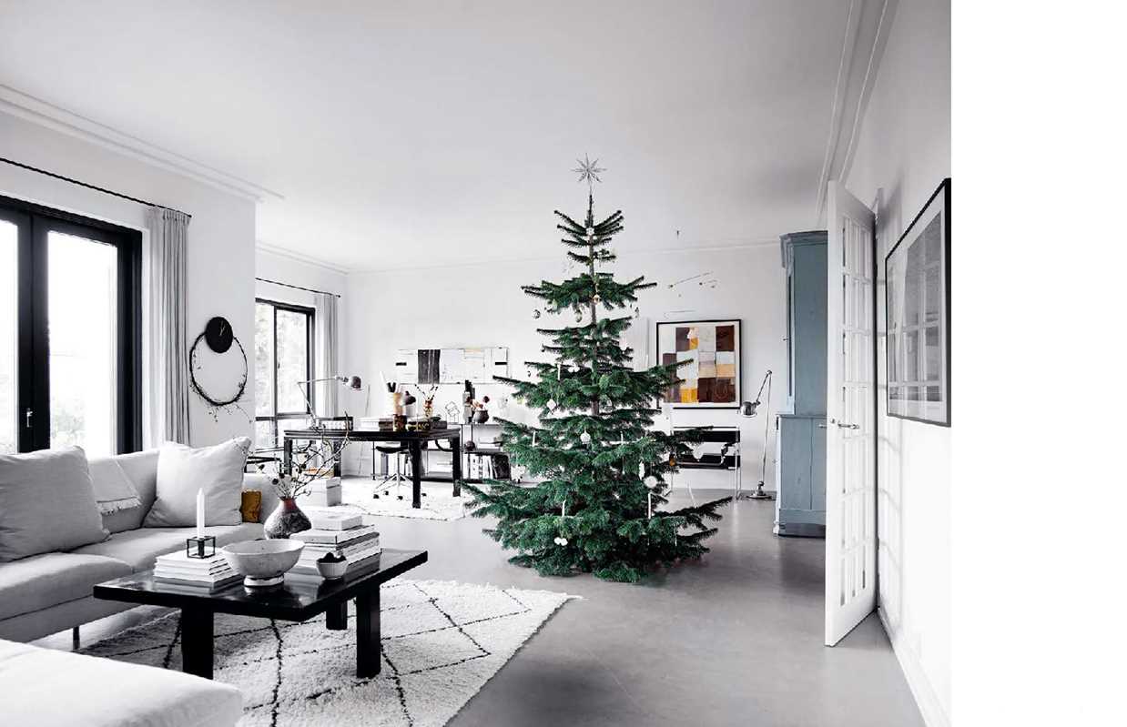 Christmas Season - Joy