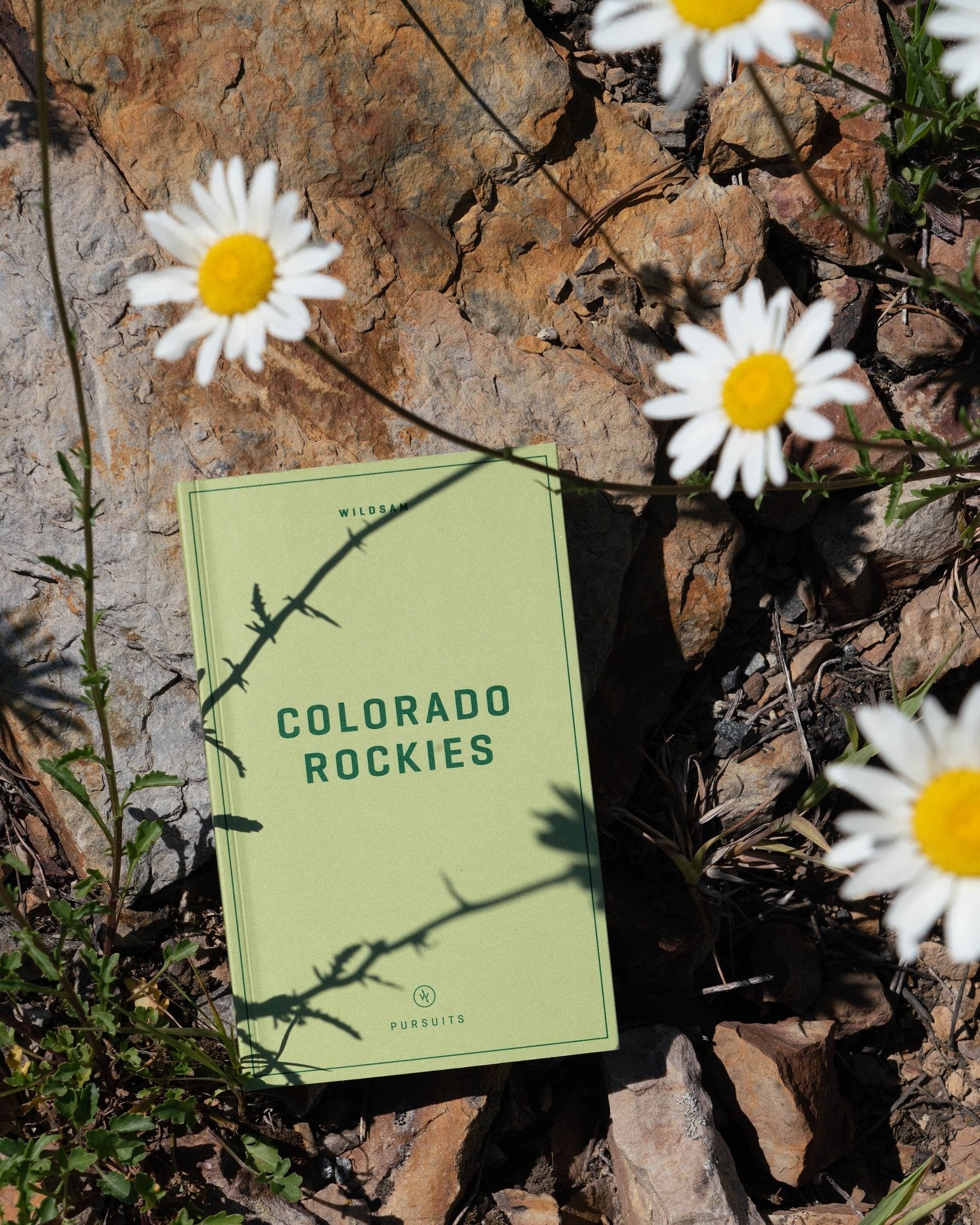 Colorado Rockies Field Guide - Joy