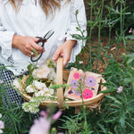 Cosmos Flower Press - Joy Gift Shoppe