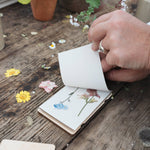 Cosmos Pocket Flower Press - Joy Gift Shoppe