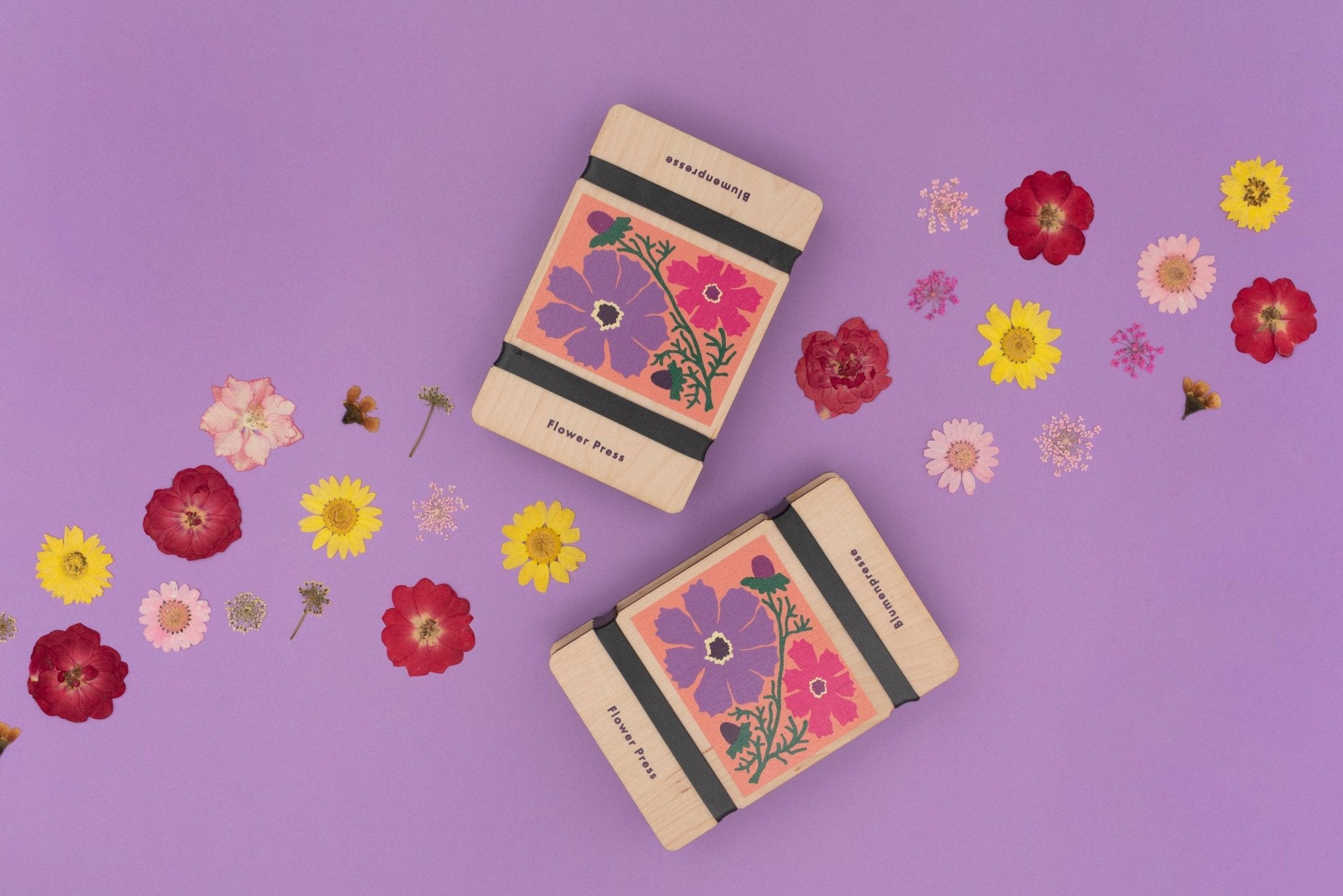 Cosmos Pocket Flower Press - Joy Gift Shoppe