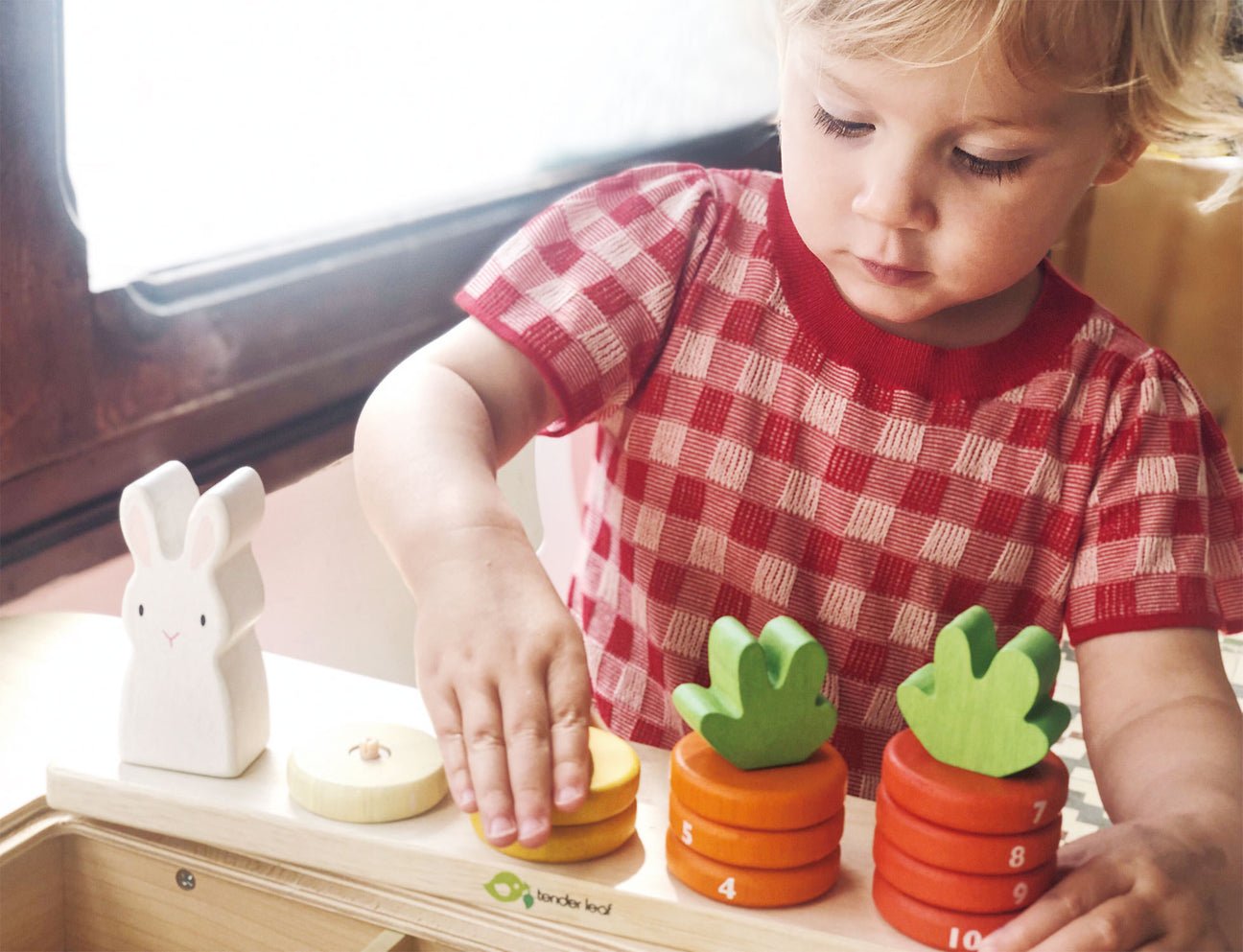 Counting Carrots - Joy Gift Shoppe