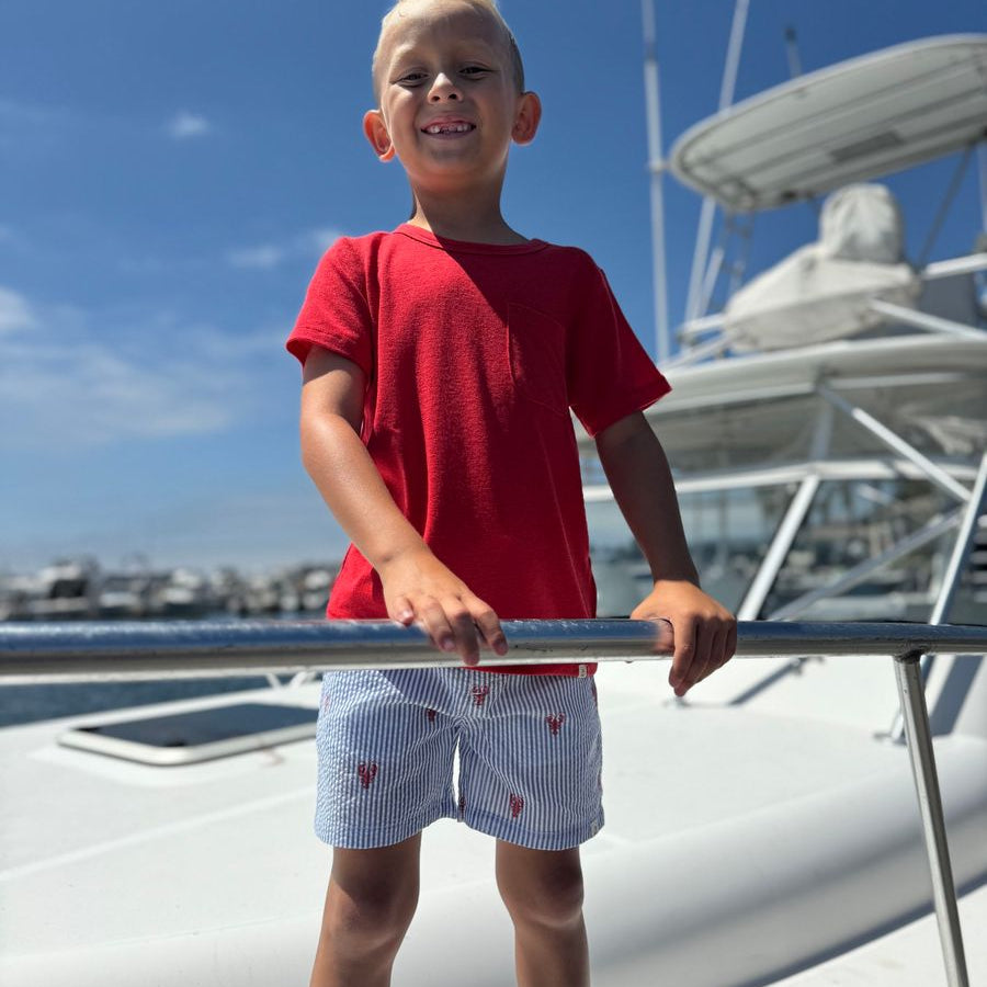 CREW Lobster Seersucker Shorts - Boy - Joy