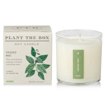 Crushed Mint - Plant the Box Candle - 9oz. - Joy