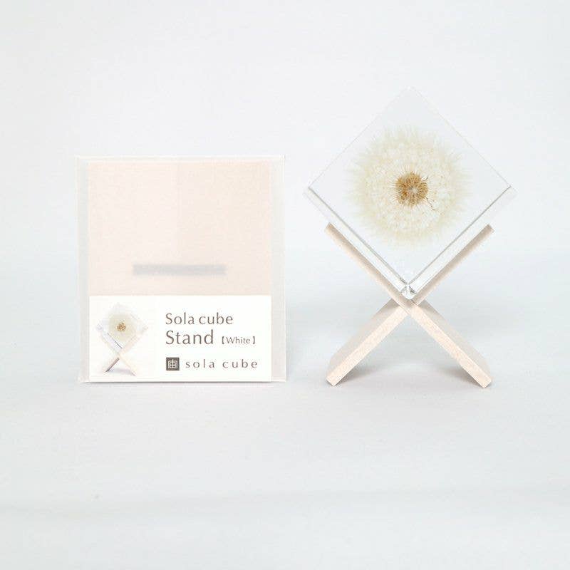Cube Stand - White Birch - Joy Gift Shoppe