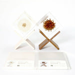 Cube Stand - White Birch - Joy Gift Shoppe