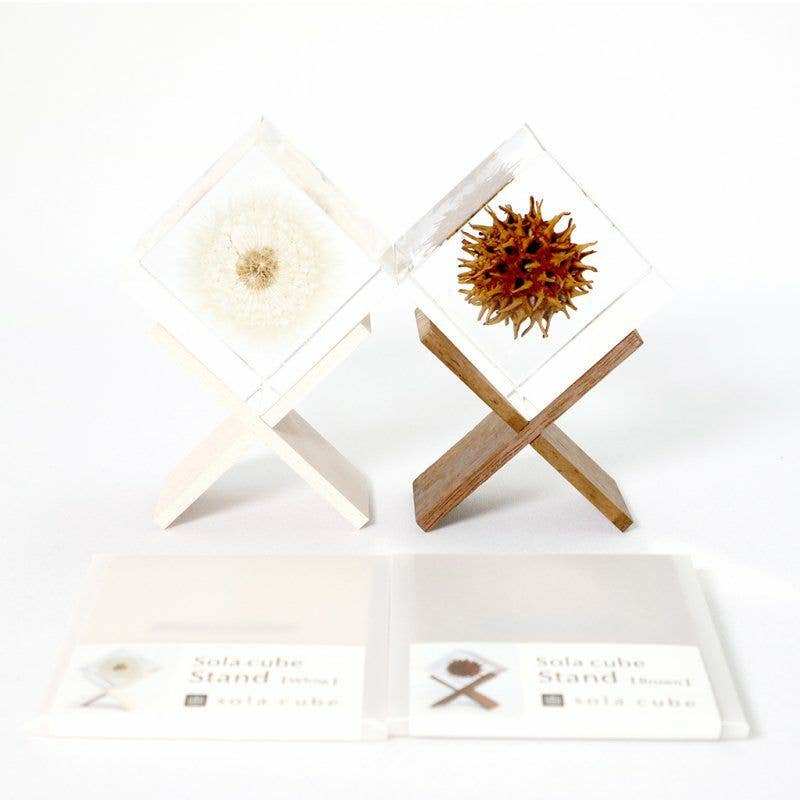 Cube Stand - White Birch - Joy Gift Shoppe