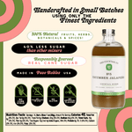 Cucumber Jalapeño Cocktail Mixer - Joy