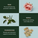 Daily Stone | Deep Moisturizing Lotion Bar Starter Kit - Joy