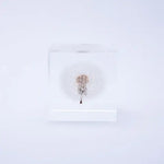 Dandelion Cube - Large - Joy Gift Shoppe