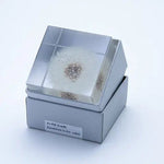 Dandelion Cube - Large - Joy Gift Shoppe