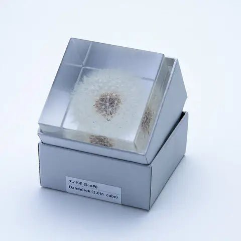 Dandelion Cube - Large - Joy Gift Shoppe