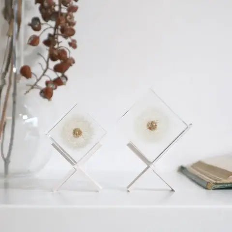 Dandelion Cube - Large - Joy Gift Shoppe