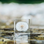 Dandelion Cube - Large - Joy Gift Shoppe