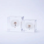 Dandelion Cube - Large - Joy Gift Shoppe