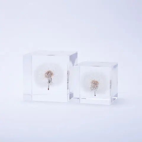 Dandelion Cube - Large - Joy Gift Shoppe