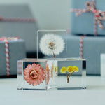 Dandelion Cube - Large - Joy Gift Shoppe