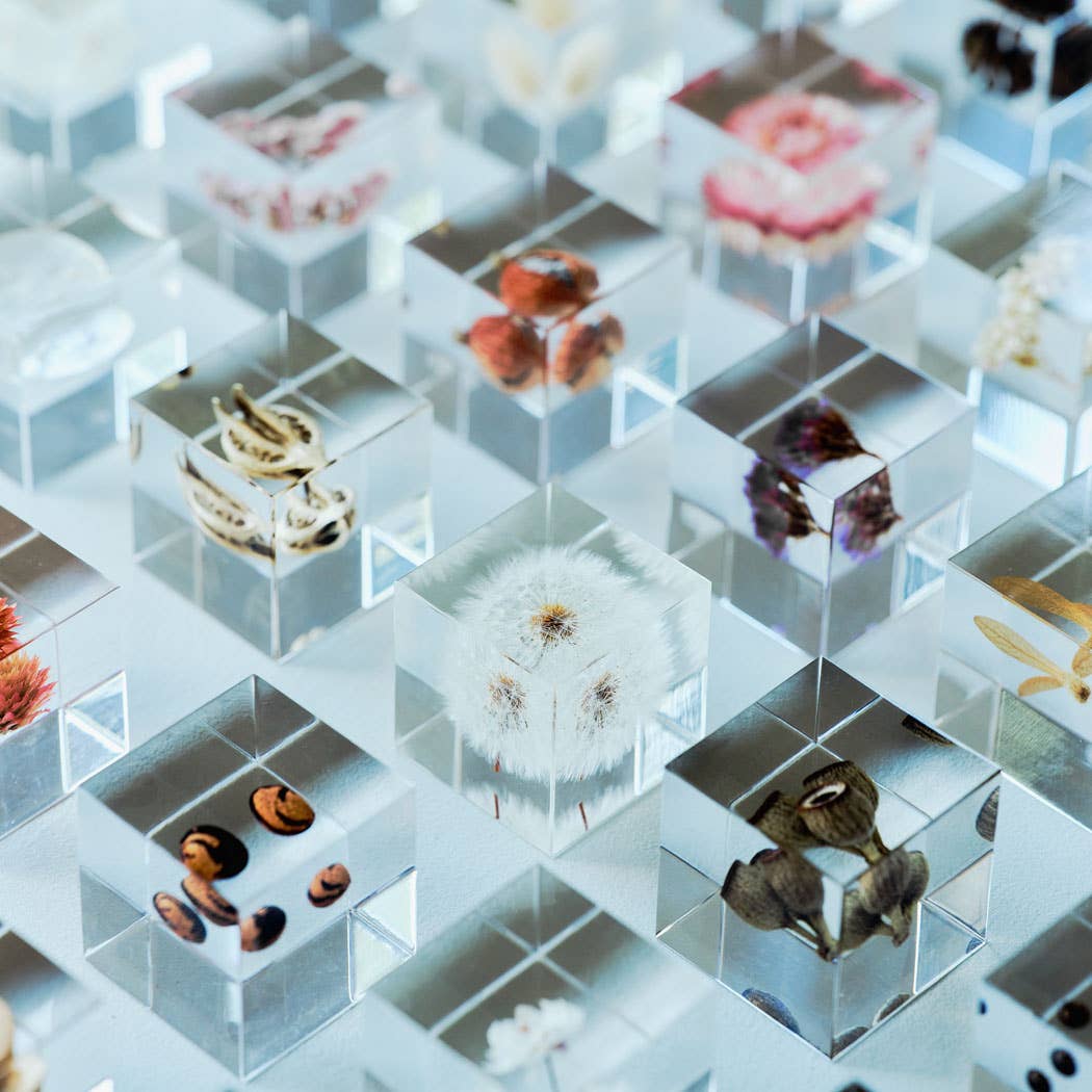 Dandelion Cube - Large - Joy Gift Shoppe