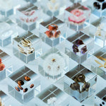 Dandelion Cube - Large - Joy Gift Shoppe