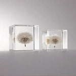 Dandelion Cube - Large - Joy Gift Shoppe