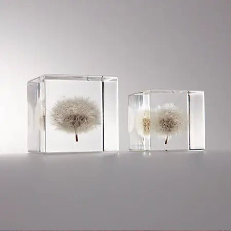 Dandelion Cube - Large - Joy Gift Shoppe