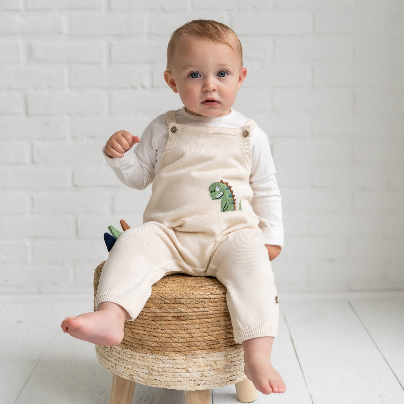 Dino Jacquard Knit Baby Overall & Bodysuit Set - Joy