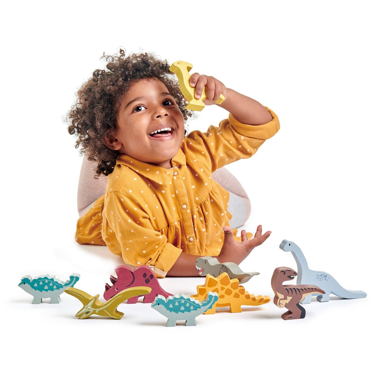 Dinosaurs Set - Joy Gift Shoppe