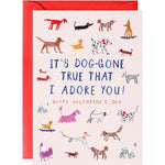 Dog - Gone True Valentines Card - Joy