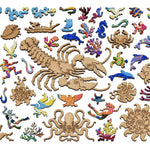 Dolphin's Wake Puzzle - Joy