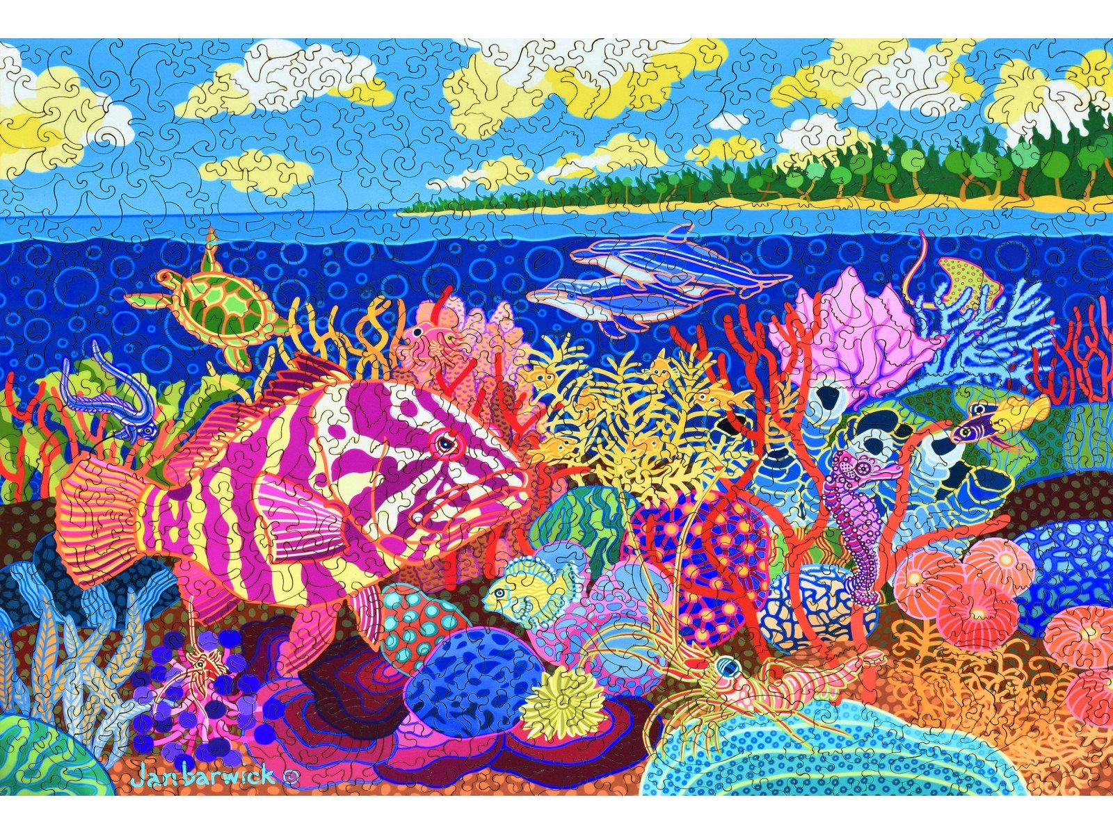 Dolphin's Wake Puzzle - Joy