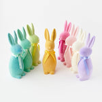 Easter Bunny - Joy