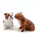 English Bulldog Salt and Pepper - Joy Gift Shoppe