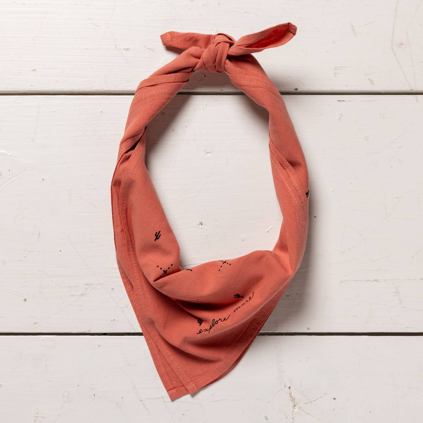 “Explore More” Bandana - Joy