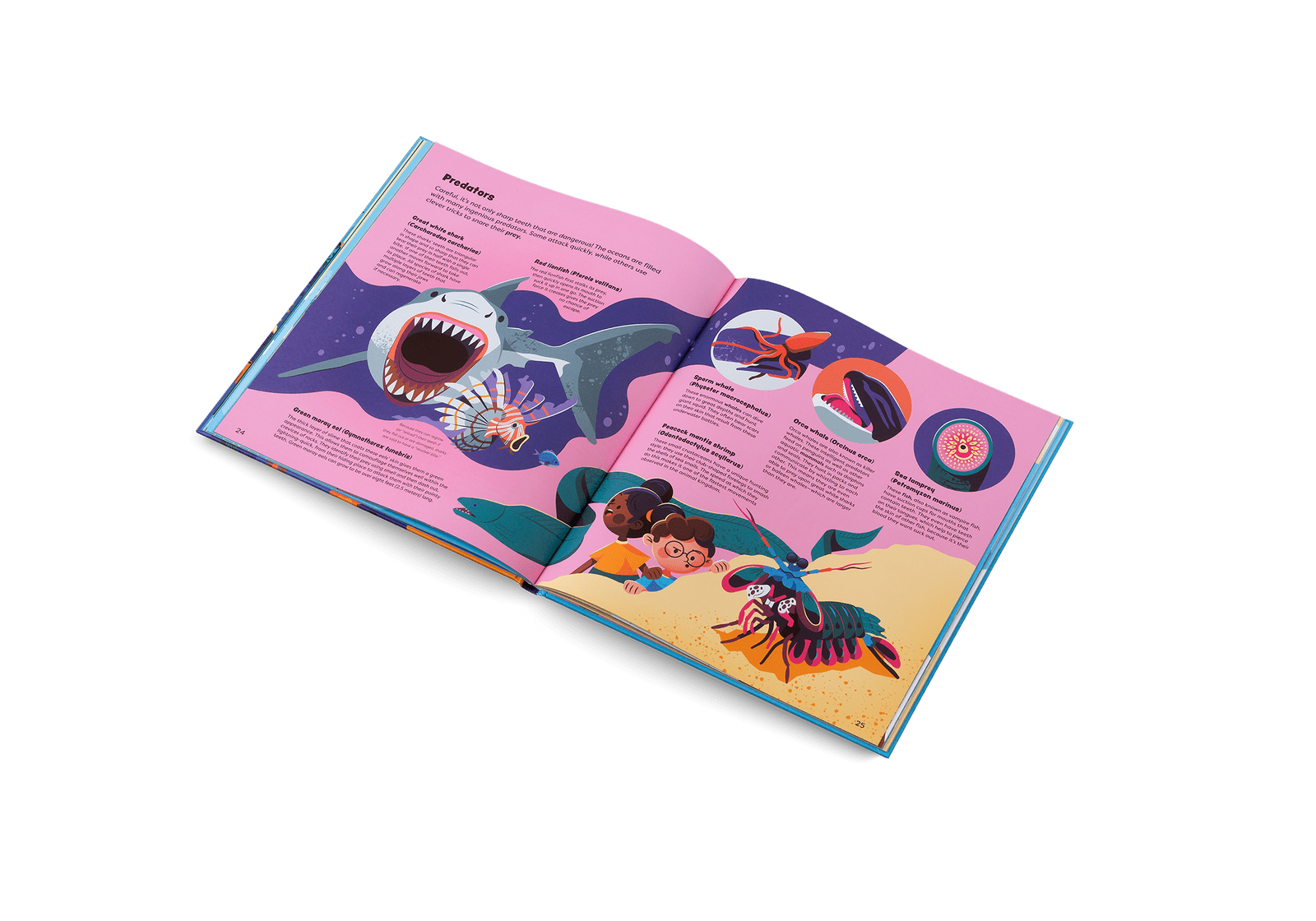 Explore the Ocean - Joy Gift Shoppe
