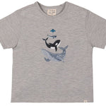 FALMOUTH Whales Printed Tee - Boy - Joy